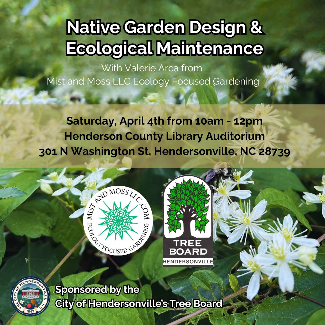 Tree Board event image Tree Board event image