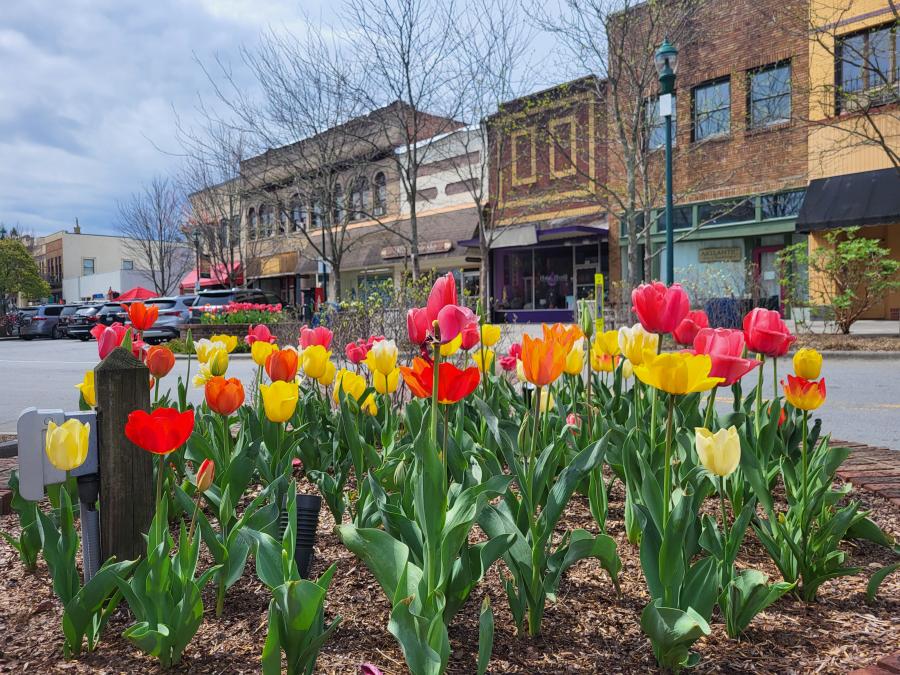 Main Street flowers