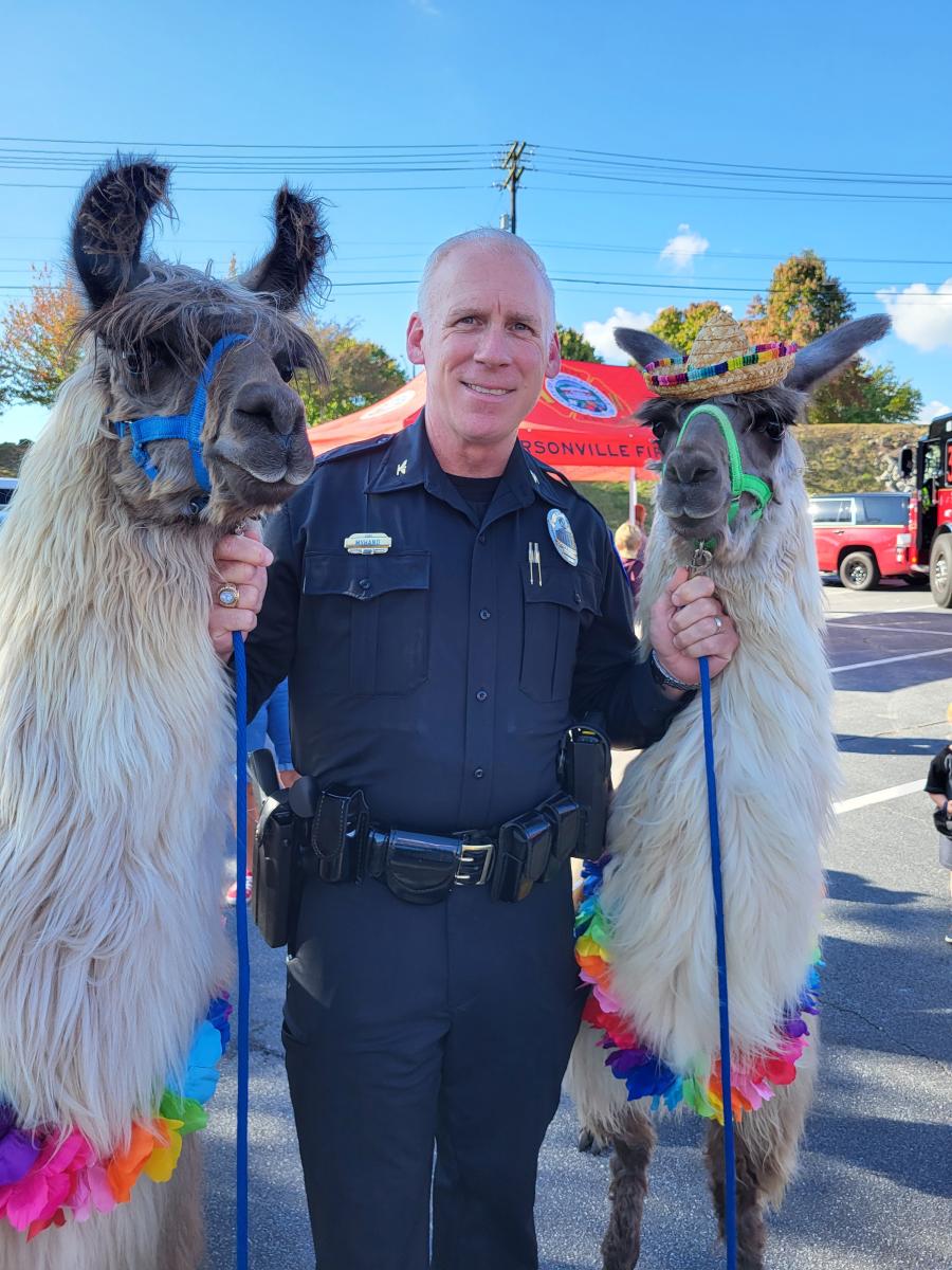 Police Chief standing with two llamas