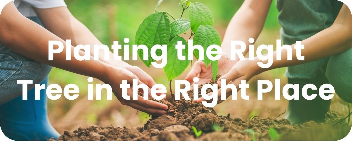 Planting the Right Tree in the Right Place Planting the Right Tree in the Right Place