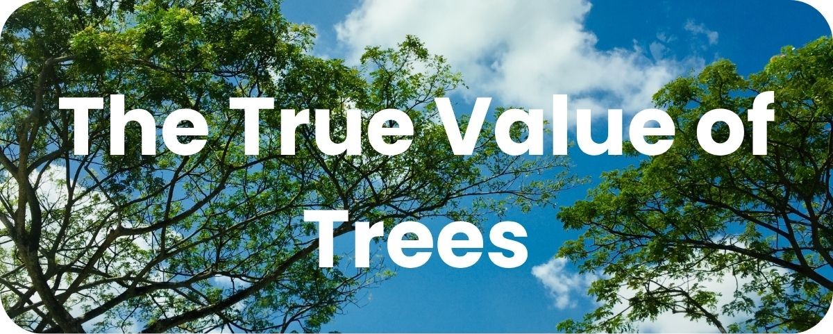 The True Value of Trees The True Value of Trees