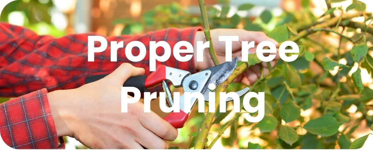 Tree pruning resource Tree pruning resource
