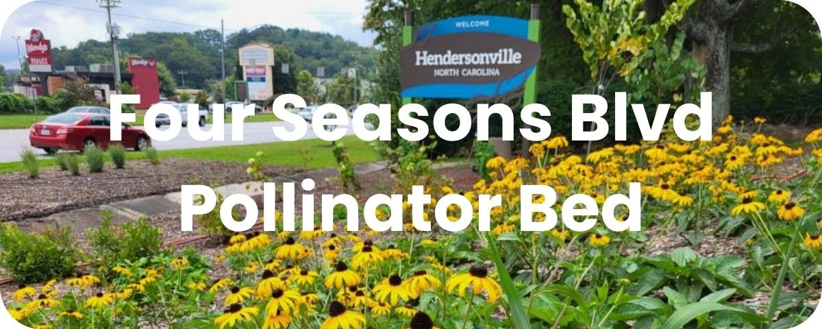 Four Seasons Blvd Pollinator Bed